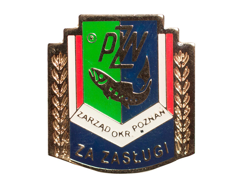 Pins Fotoetsat