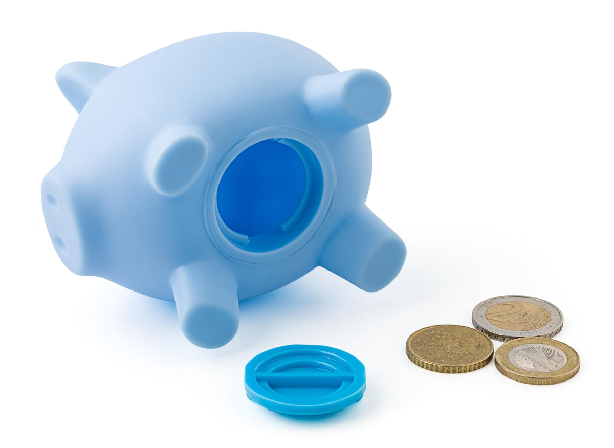 Piggy bank Roger