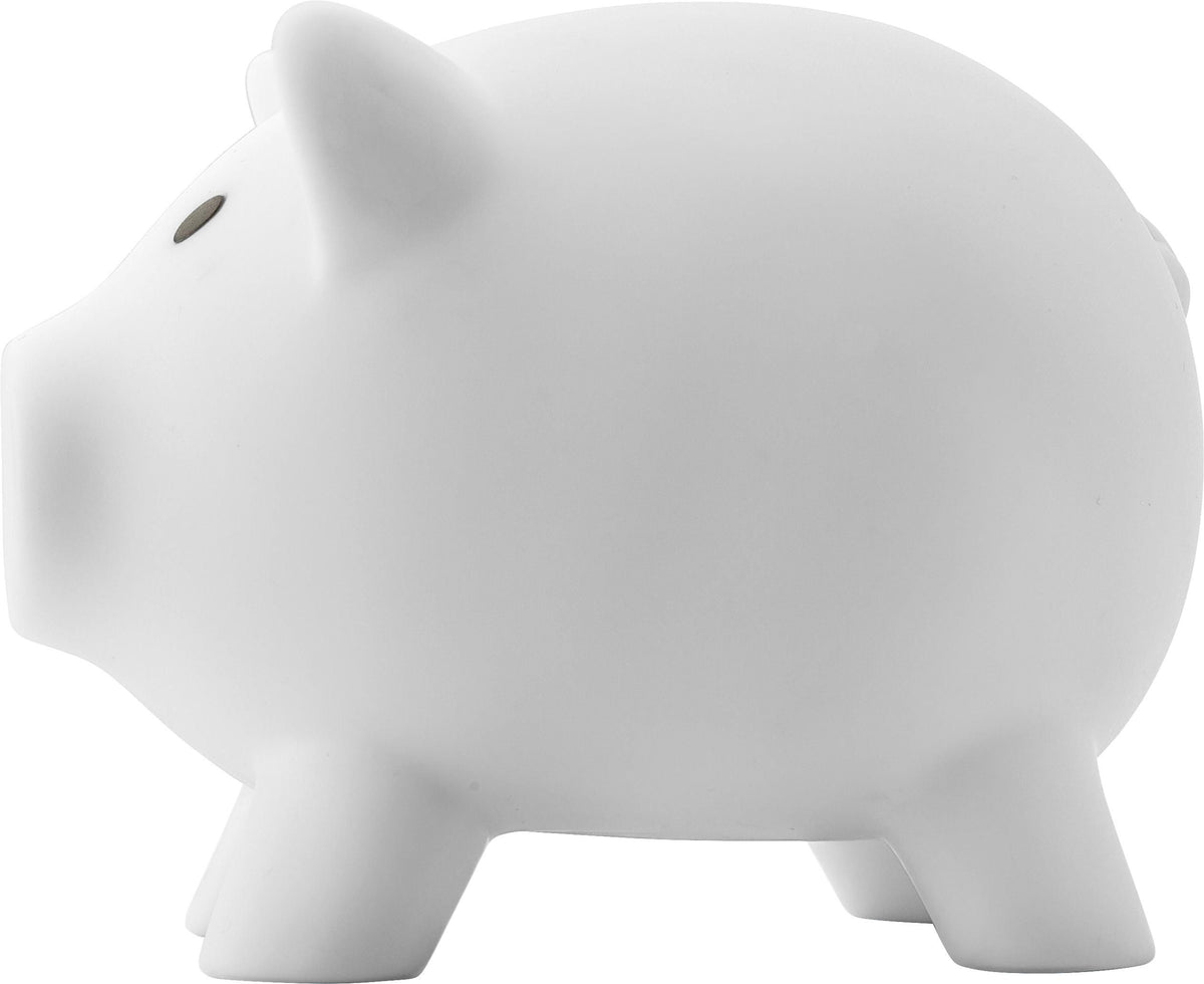 Piggy bank Roger