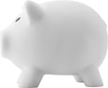 Piggy bank Roger