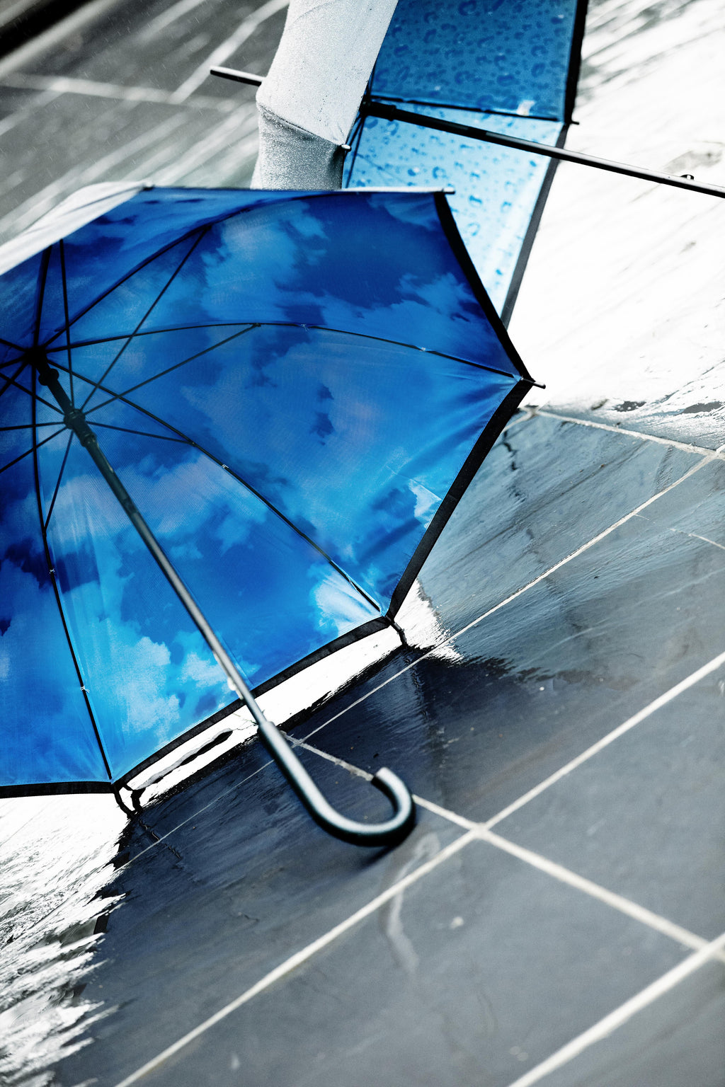 Umbrella with printed inside, manual opening, Ronnie