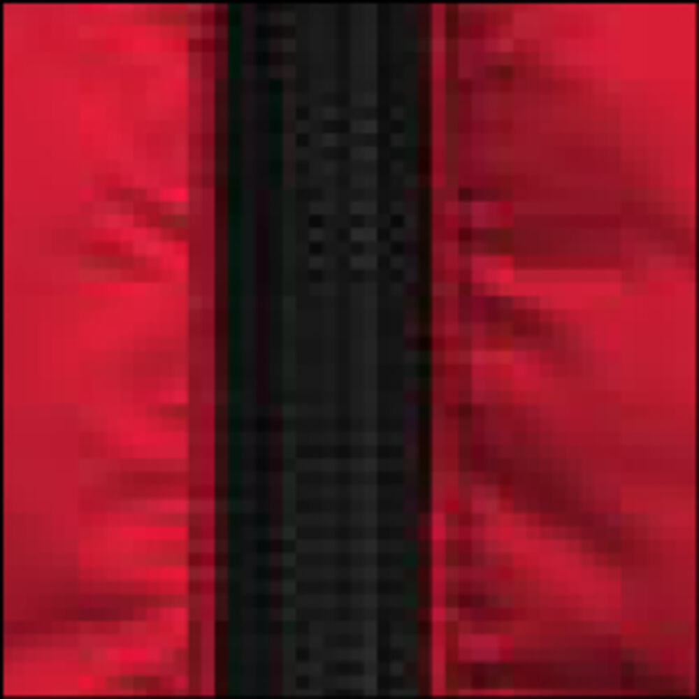 Base Vest