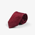 Solid Paisley Tie With Giftbox