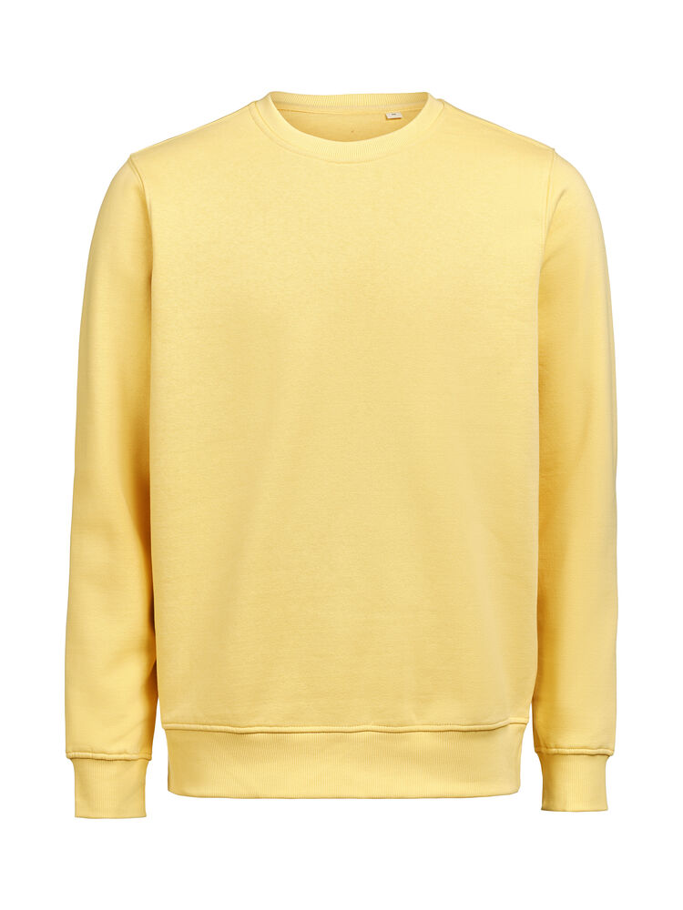 UM Crewneck (OCS-RCS) Regular Fit Unisex – Ray