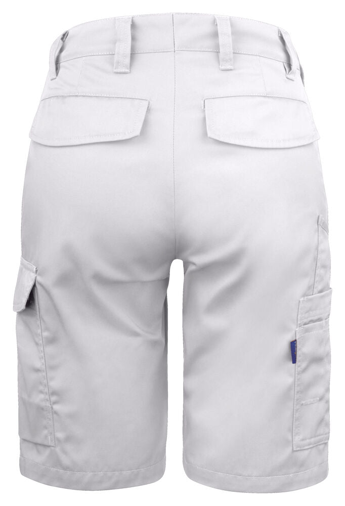 2529 SHORTS DAM