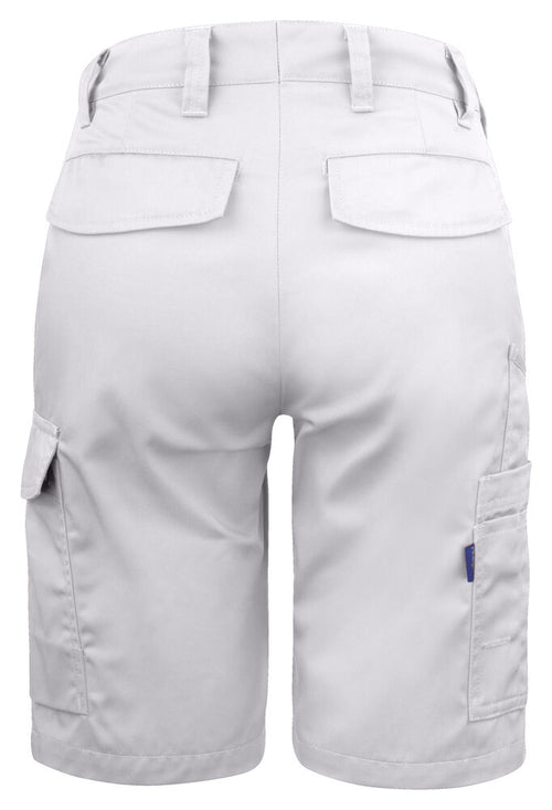 2529 SHORTS DAM
