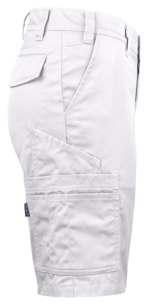 2529 SHORTS DAM