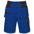 PROMONTER COTTON 250 Shorts